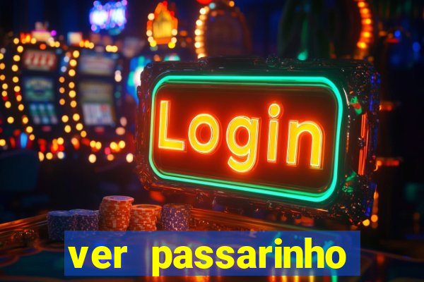 ver passarinho morto significado